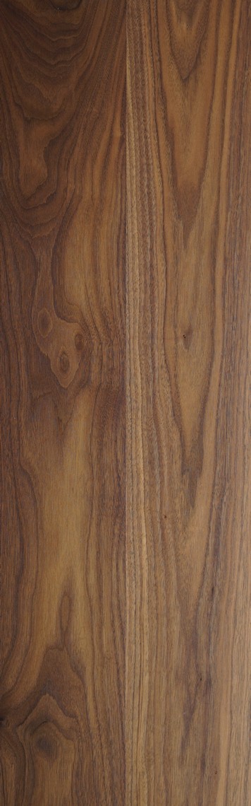 Yağlı Plank